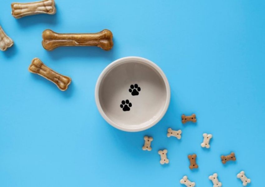 Training dog treats, pet parents dog treats, healthy dog treats in India, Large dog treats, Milky dog treats, Best dog treats in India