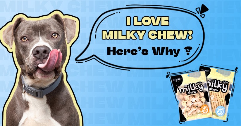 Milky chews treats, milky chew dog treats amazon, natura ingredients dog treats, vet approved dog treats, Dog treats in Pune, affordable for dog treats