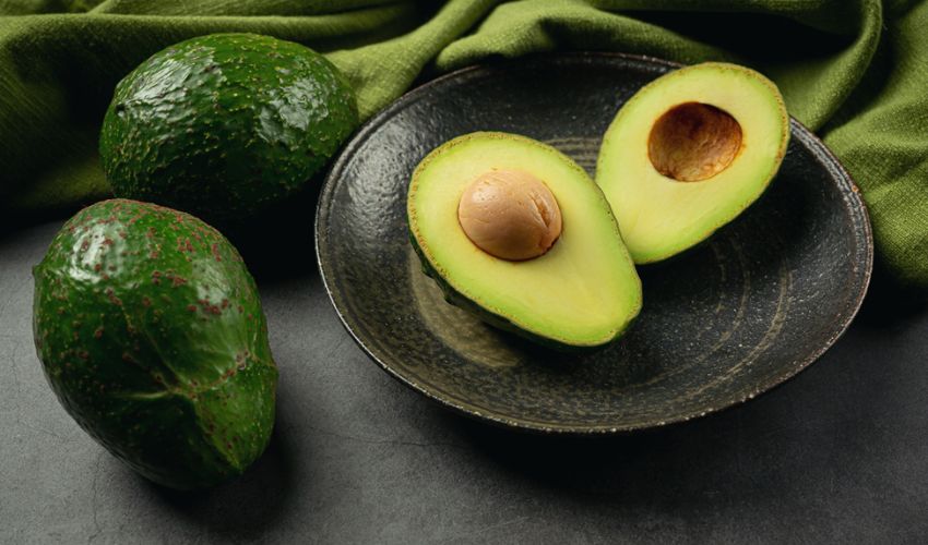 avocado poisoning in dogs, persin toxicity, avocado plant dangers, guacamole and dogs, avocado skin hazards