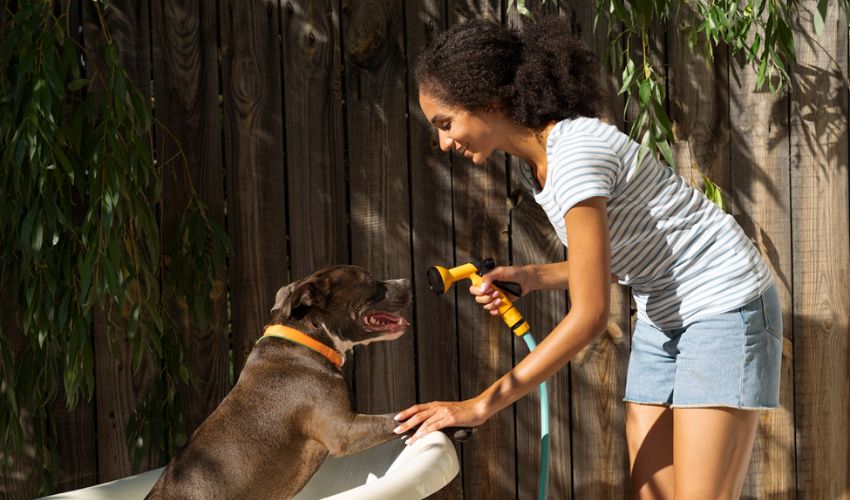 Dog shampoo vs human best sale