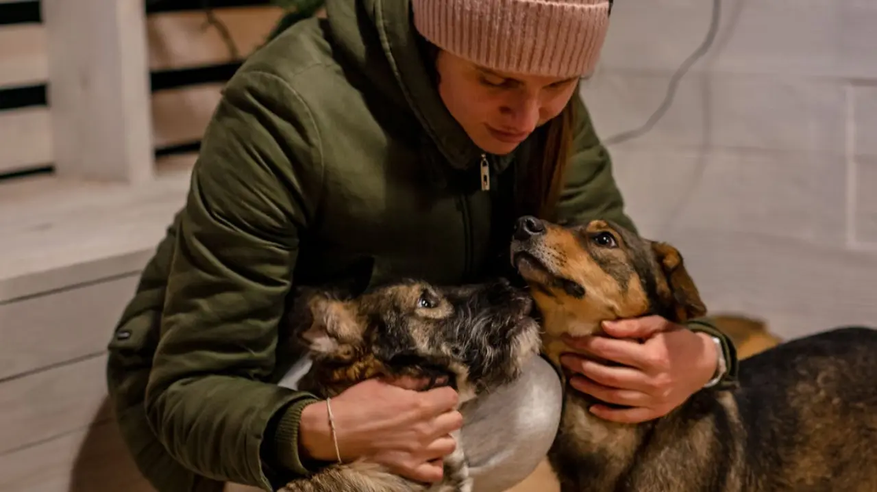 Woman cuddling two dogs indoors, highlighting pet care and choosing healthy protein-rich dog treats vs grain-free dog treats for optimal canine nutrition