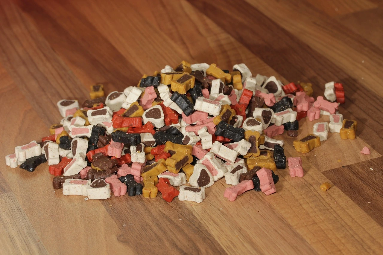 assorted dog treats and biscuits showing different pet snack shapes used for dog training rewards